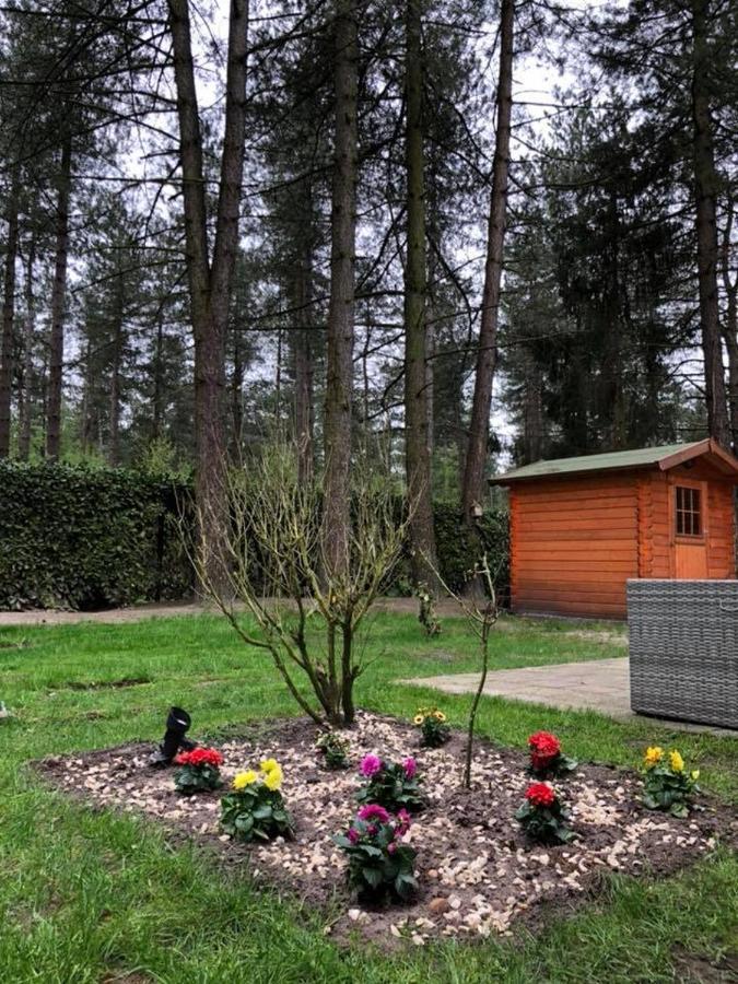 Luxe Vakantiehuis In Het Bos Overbroek 외부 사진