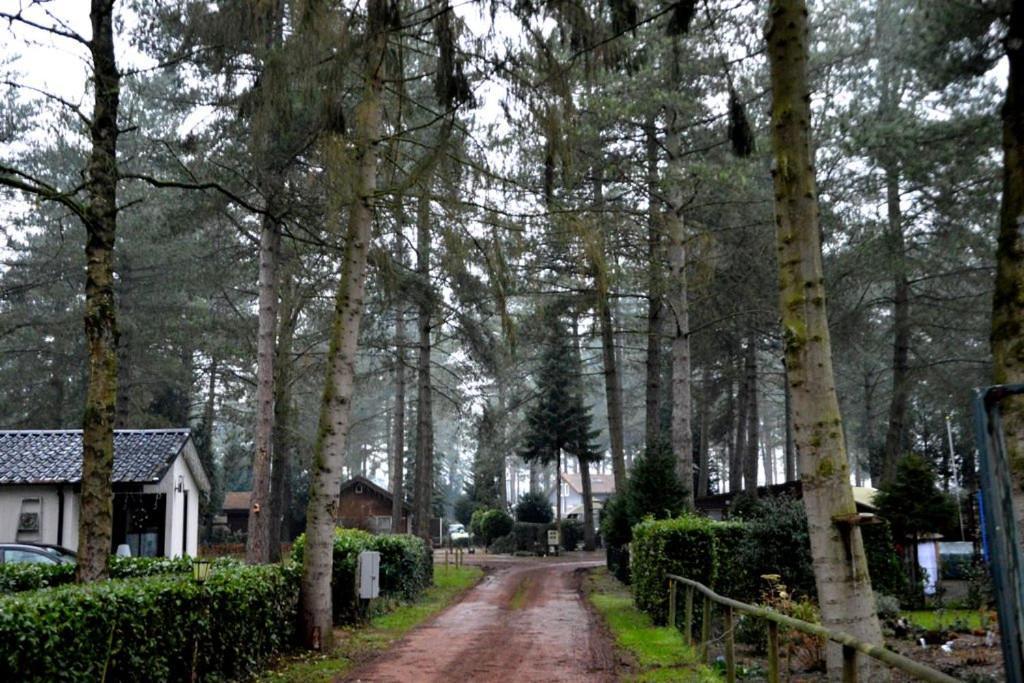 Luxe Vakantiehuis In Het Bos Overbroek 외부 사진